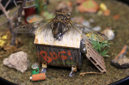 Cicadapocalypse Diorama